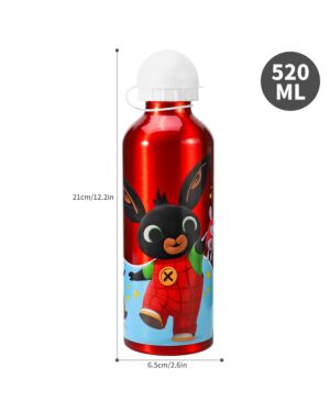 Aluminium Bottle BING TM24113