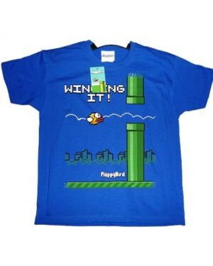 BOYS FLAPPY BIRDS T SHIRT TD9989