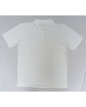 Boys Polo T shirt PL0027