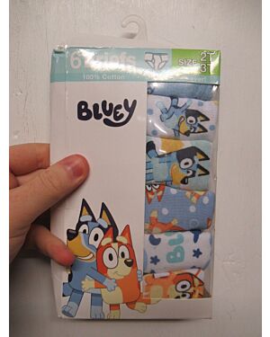 BOYS BLUEY 6 PACK OF BRIEF  PL19938