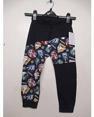 HARRY POTTER JOGGER PANT PL4041